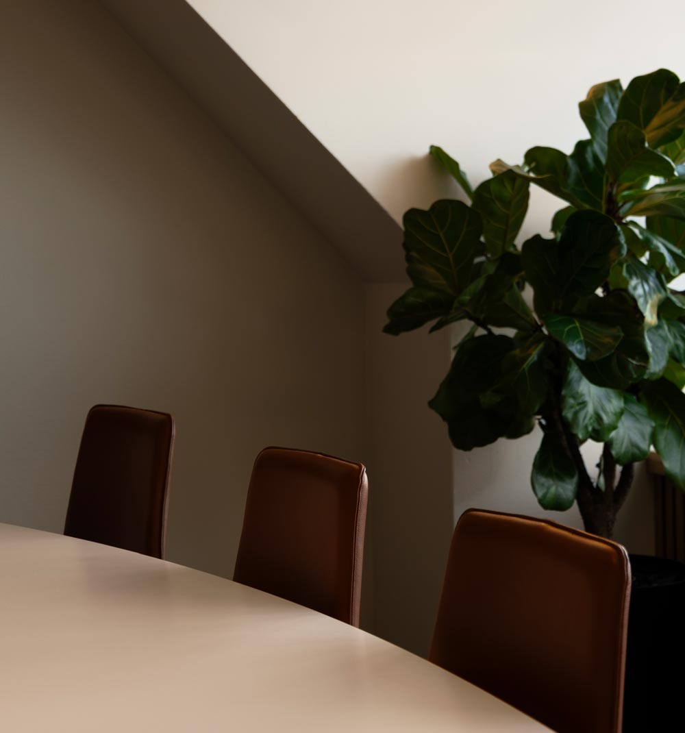 En blomma inne i konferensrummet hos Next