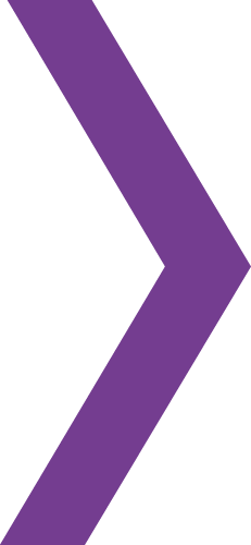 Next Law arrow